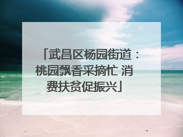 武昌区杨园街道：桃园飘香采摘忙 消费扶贫促振兴